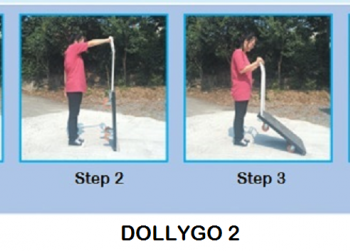 dolly24